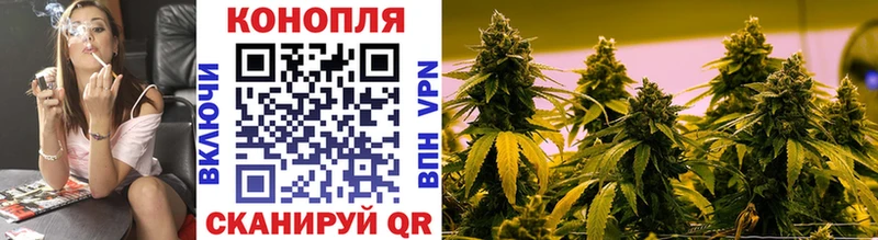 Бошки марихуана сатива  Краснознаменск 